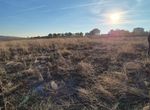 Photo 301216653