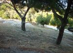 Photo 301223691