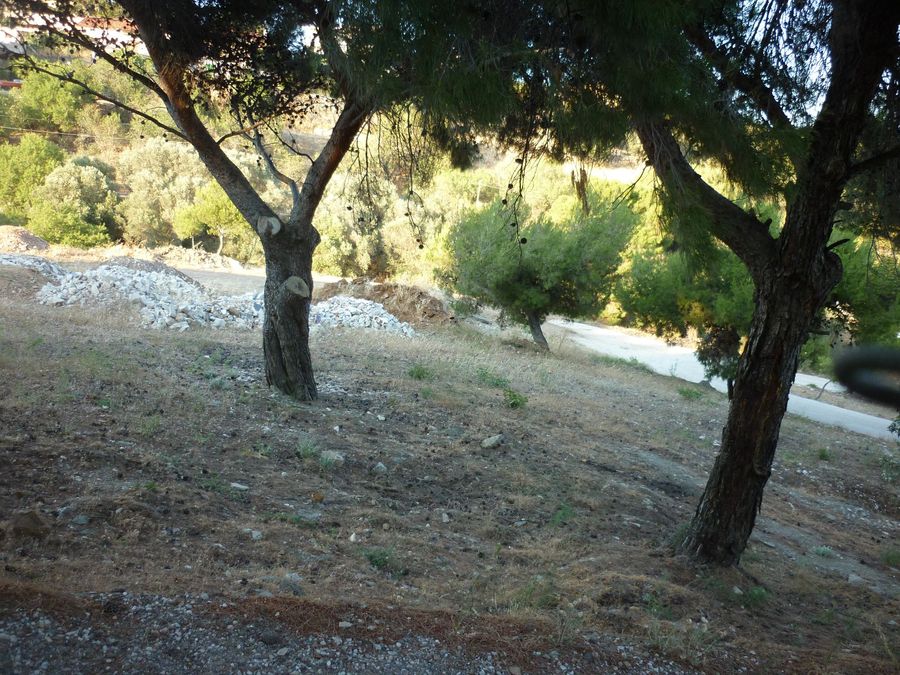 Photo 301223691