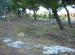 Photo 301223715