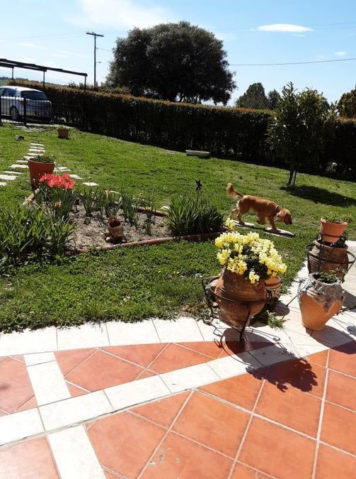 Photo 301793709