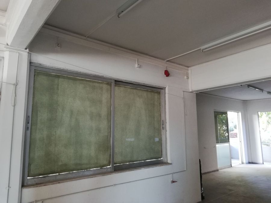 Photo 301895754