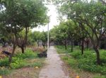 Photo 302016636