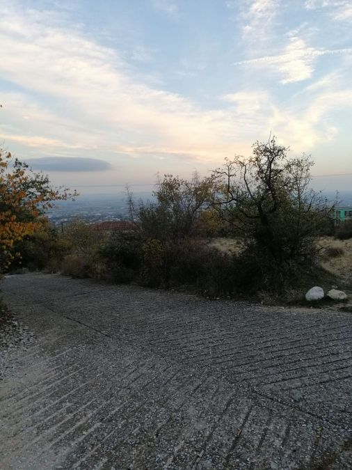 Photo 302455113