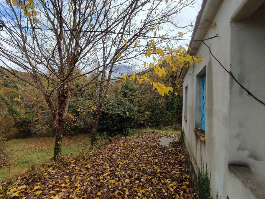 Photo 302658426