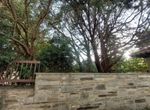 Photo 303241827