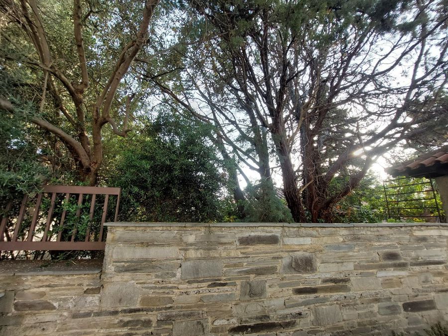Photo 303241827