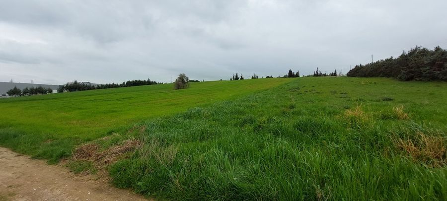 Photo 303244269