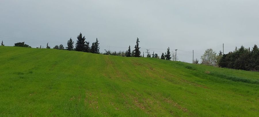 Photo 303244275