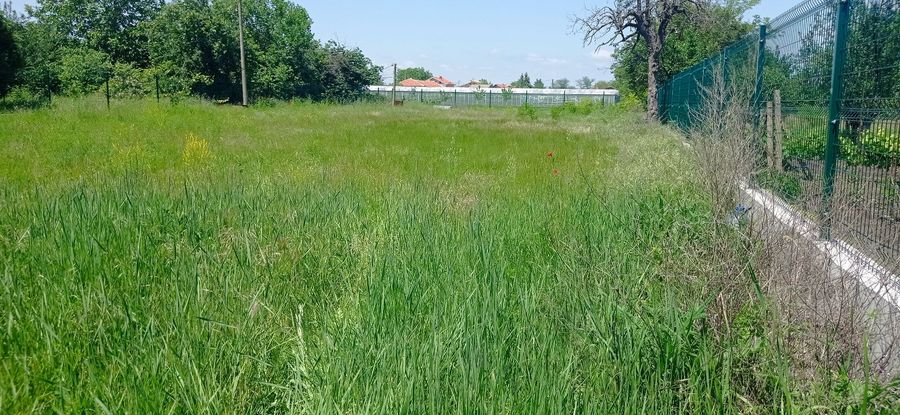 Снимка 303300246