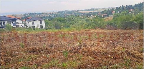 Снимка 303363147