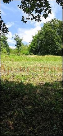 Снимка 303367773