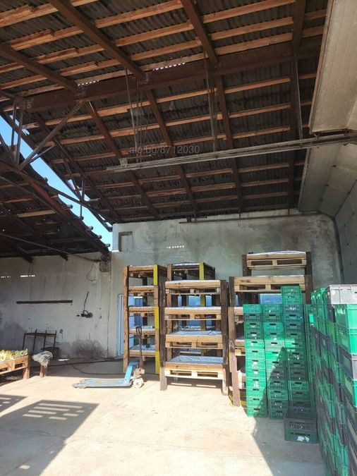 Снимка 303383904