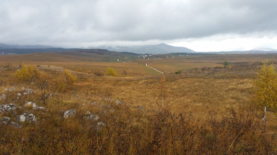 Land Bank, Žabljak (pending UTU / opstina approval or develop now)