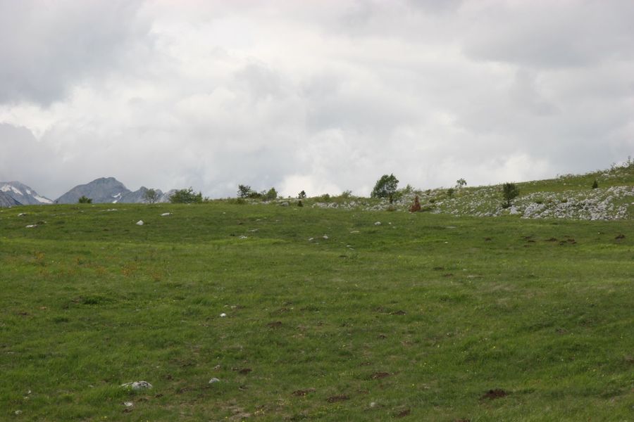 Land Bank, Žabljak (pending UTU / opstina approval or develop now) 4