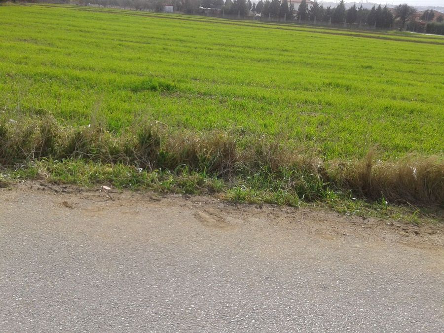 Photo 303854232