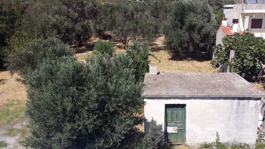 Photo 303889089