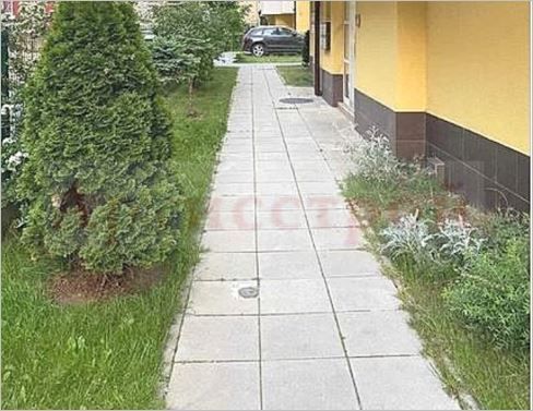 Снимка 303926955