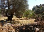 Photo 304105776