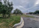 Fotografija 304413798