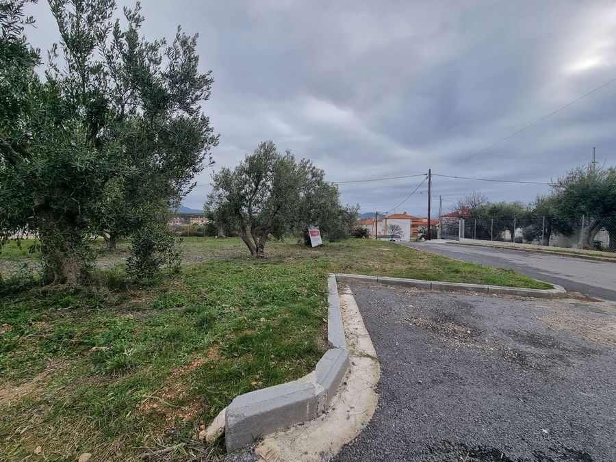 Fotografija 304413798