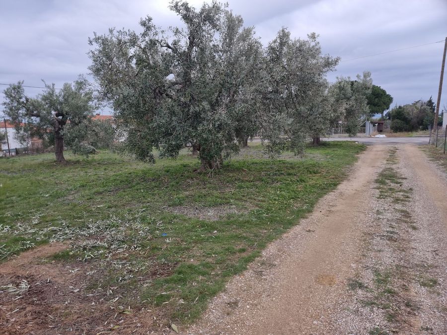 Fotografija 304413810