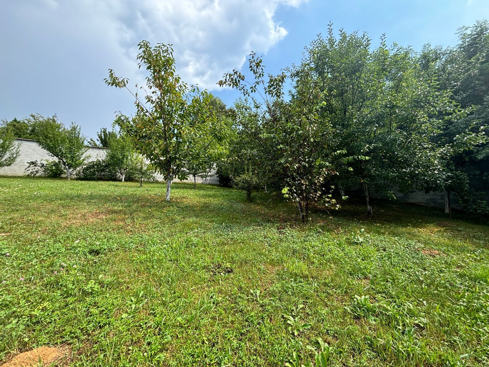 Kuća 180 m2 na prodaju Ilidža, Osijek photo 2