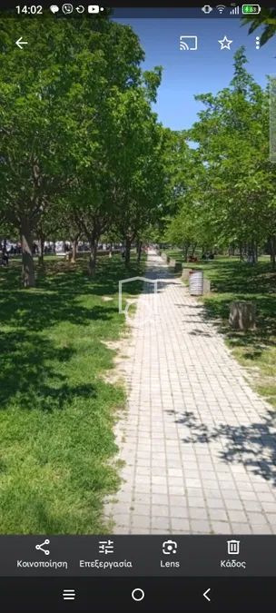 Photo 304516380