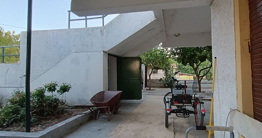 Фото 304827393