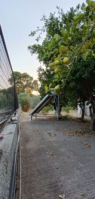 Фото 304827396