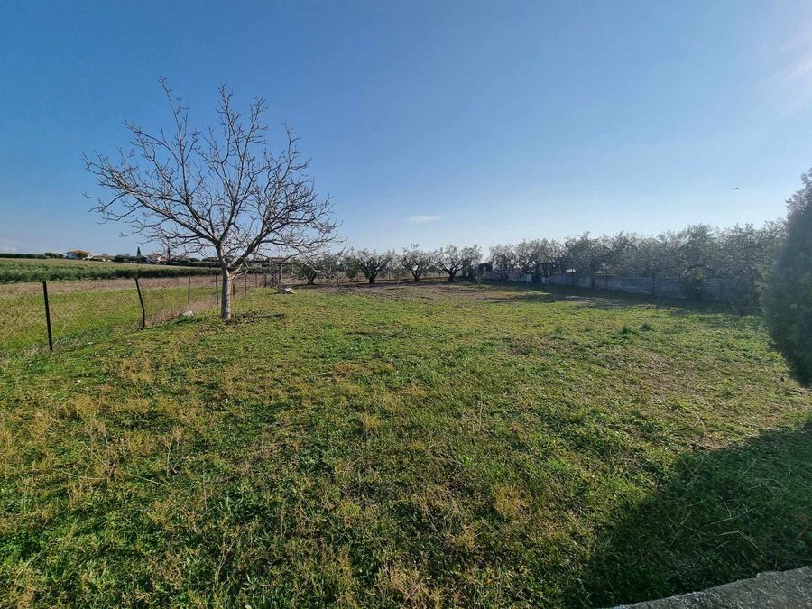 Fotografija 304835907