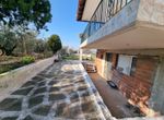 Fotografija 304835910