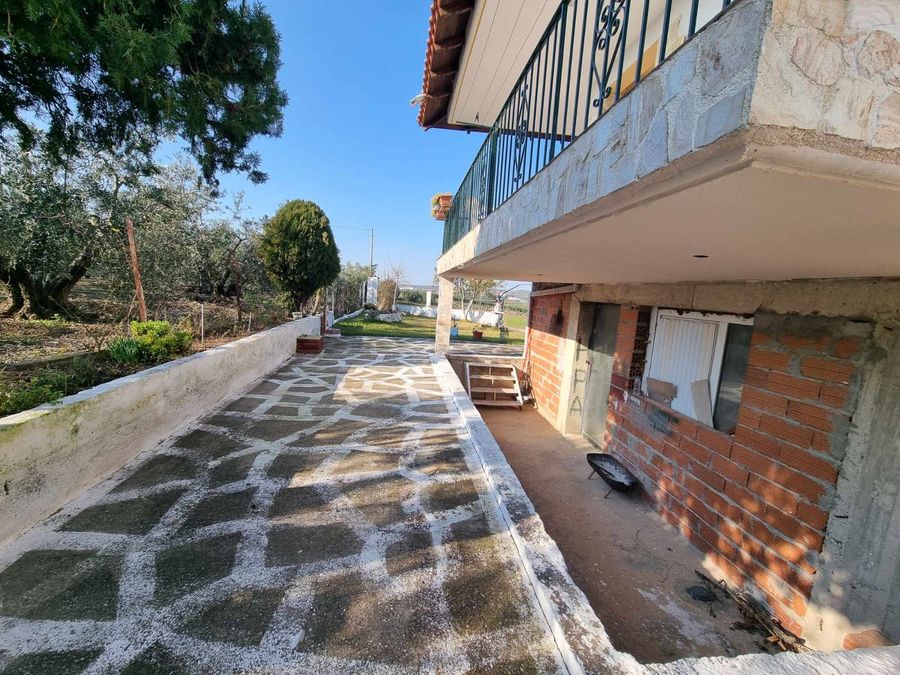 Fotografija 304835910