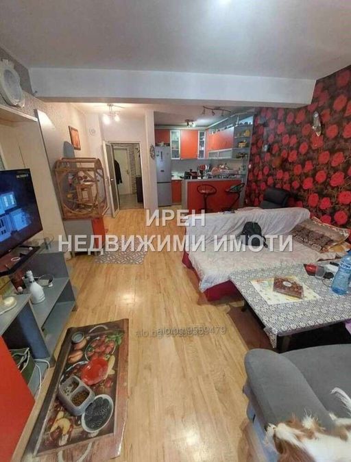 Снимка 305288385