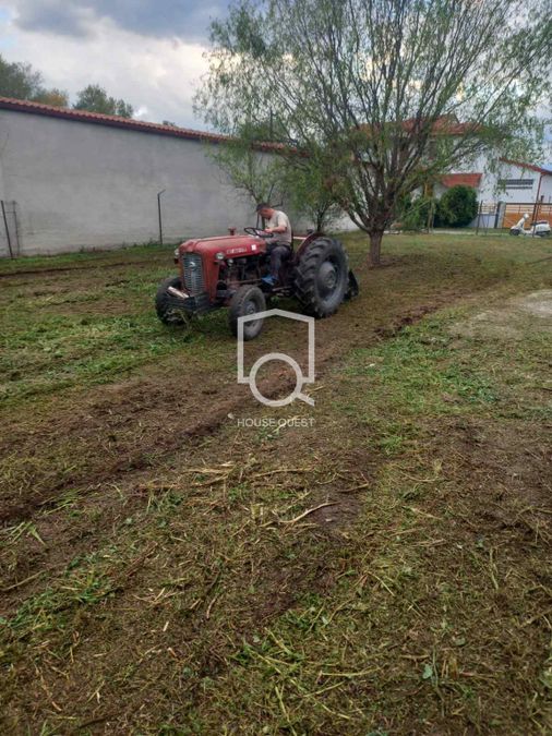 Photo 305311758