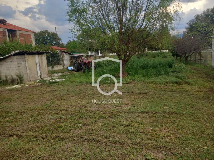 Photo 305311767