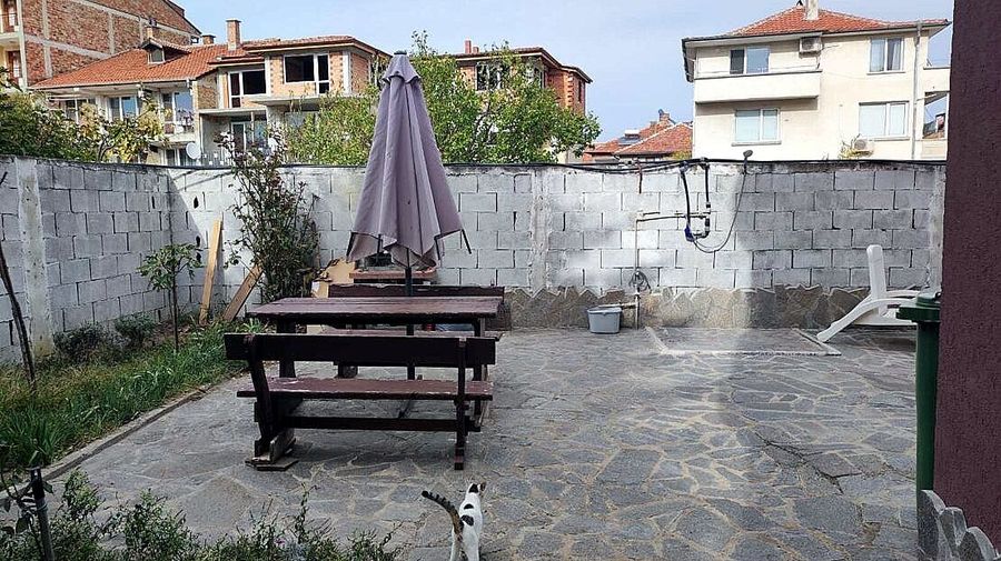 Снимка 305430510