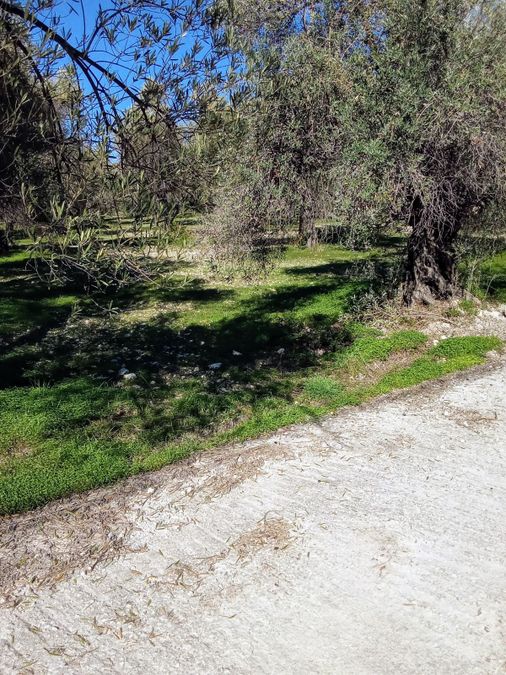 Photo 305442024