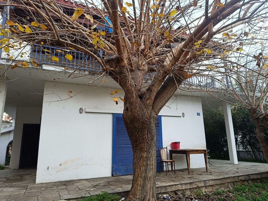 Photo 306160530