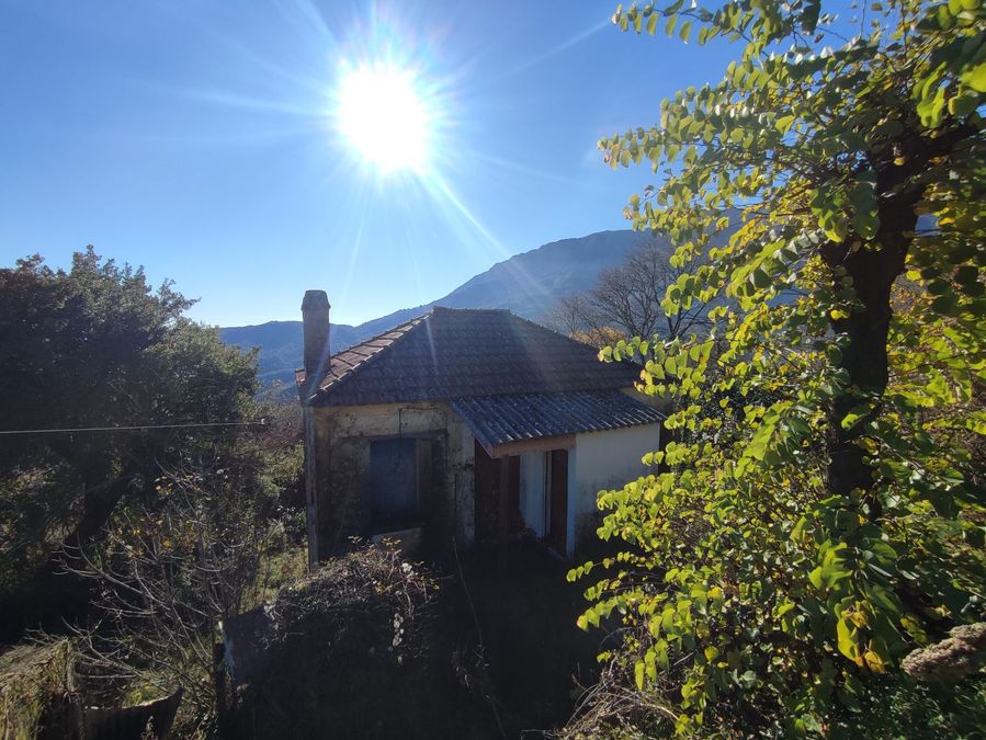 Photo 306162189