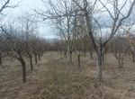 Foto 306671790