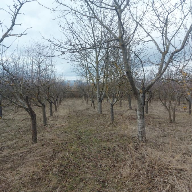Foto 306671790