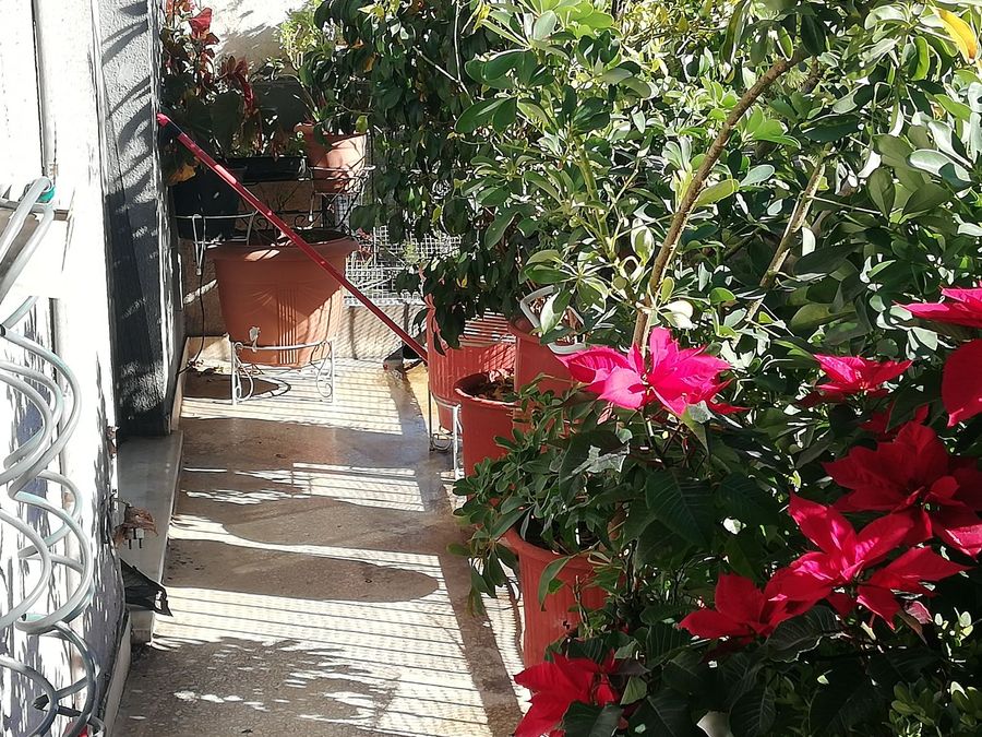 Foto 306849036