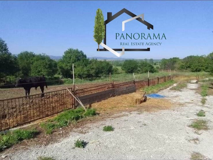 Снимка 307270668