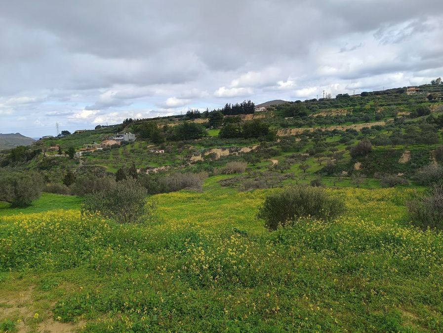 Photo 307573929