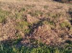 Photo 307672905