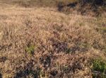 Photo 307672917