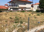 Foto 307736382