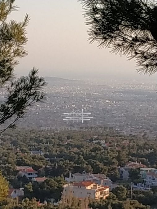 Photo 307743414