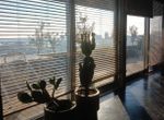Photo 307814607